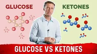 Testing Glucose or Ketones: Which is More Important?