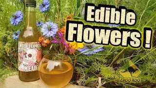 I made MEAD from random flowers!