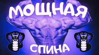 Тренировка спины от Грега Плитта | Круг Чести | Георгий Стадник
