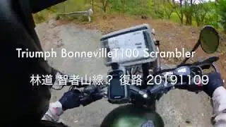 Triumph BonnevilleT100 Scrambler 林道 智者山線？ 復路 20191109