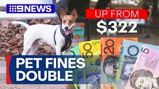 On-the-spot pet fines double leaving dog owners furious | 9 News Australia