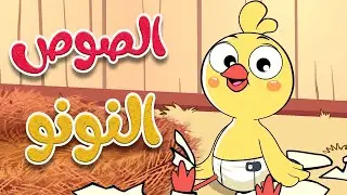 أغنية الصوص النونو - قناة أسرتنا