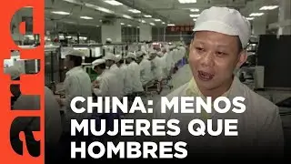 China: hombres sin mujeres (2015) | ARTE.tv Documentales