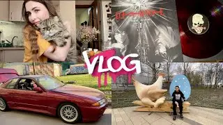 VLOG | Виниловый маркет, мой День Рождения, презентация, Lowdaily и обзор Skyline R32