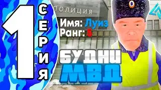 ✅БУДНИ МВД на ЛАЙВ РАША #1 – ПОСАДИЛИ в ТЮРЬМУ за КОТИКИ🙀!