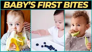 Best First Food For Babies (Little Bites for Big Beginnings)