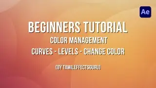 After Effects Beginner Color Management(Tamil) - Part 13