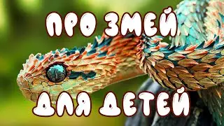 Про змей для детей | Развивающие видео для малышей | дикие животные - карточки Домана