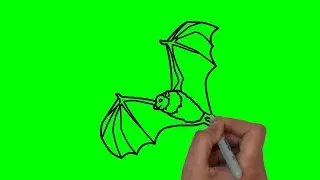 HOW TO DRAW A 🦇  BAT  🦇 MOTION BORDER💯| #greenscreen - chroma key animations HD *1080* एक बल्ला ड्रा