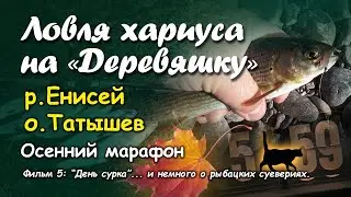 Ловля хариуса на "Деревяшку"....... Осенний марафон. Фильм 5: "День сурка" и немного о.. суевериях..