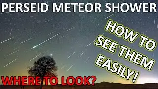 How to Actually See the Perseid Meteor Shower!