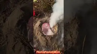 Casting A Fire Ant Colony-Invasive Species #commonpractice #moltenaluminum #ants #invasive