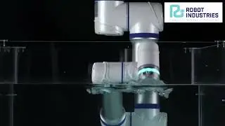Looking for the perfect blend of top quality and affordability in robotic solutions?