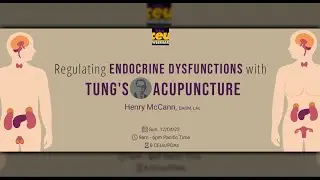 Regulating Endocrine Dysfunctions with Tung’s Acupuncture | Acupuncture Live CEUs