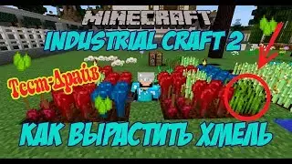 Как вырастить хмель мод industrial craft2 / Выживание на сервере с модами (Хмель в minecraft)