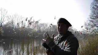 Fotografie für Anfänger und Einsteiger - Makro s/w
