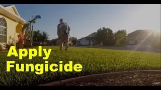 Lawn Fungicide Applications | Disease Control for Lawns