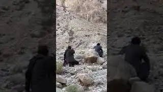 Markhor's illegal Hunting at Chiltan, Quetta,Baluchistan.