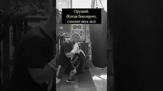 А Какой БОКСЕР ТЫ? 🥊 