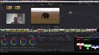 How to Work With Resolve's Interactive Point Tracker