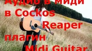 Аудио в миди в Cockos Reaper плагин Midi Guitar