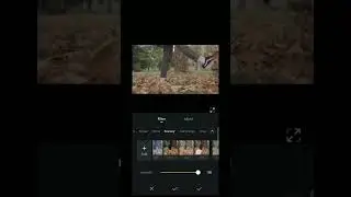 VN colour Grading Tutorial|#viral #vn #viralshorts #trending