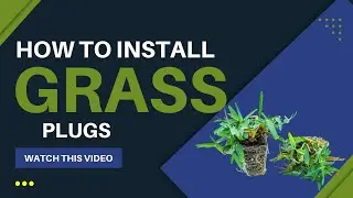 How to Install Grass Plugs