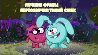 Смешарики самые смешные фразы  (переозвучка Тихий смех )