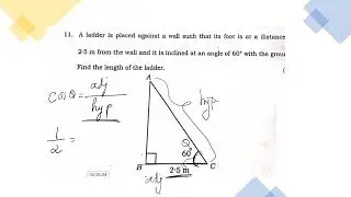 2023 state level preparatory exam answer keys for 1 mark questions#sslcexam2023