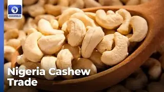 Nigeria Cashew Trade Rises In Q2