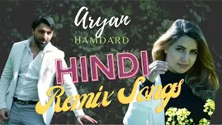 Aryan Hamdard New Hindi Remix song 2020 4K