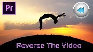 How to reverse the video | Premiere pro tutorial