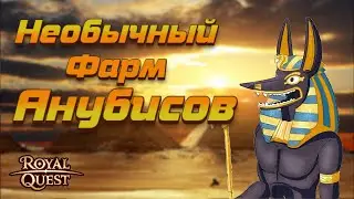 Роял Квест. Пирамида🏺 Необычный фарм☠️