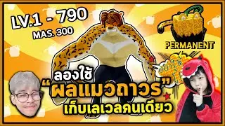 เก็บLevel 1-790 ด้วยผลแมวถาวร | Bloxfruit ตามคำขอ!