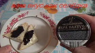 мурманская икра палтуса структурированная,пробую черную икру,ООО лунское море икра палтуса черного