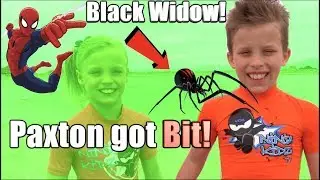 Paxton got bit by a BLACK WIDOW! HE is SPIDERMAN!