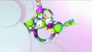 Рекламная заставка Весна только начинается (НТВ-Беларусь, 08.03.2021-08.03.2022)