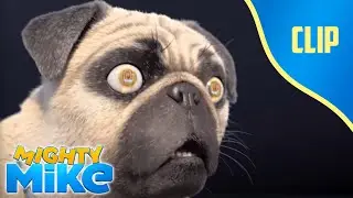 Mike, the hypnotized pug ? - Mighty Mike - Cartoon Animation for Kids