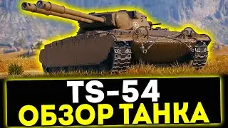 ✅ TS-54 - ОБЗОР ТАНКА ИЗ КОРОБОК 2024! МИР ТАНКОВ