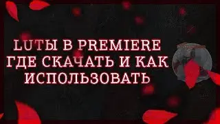 RICCHICOM: КАК ПОЛЬЗОВАТЬСЯ КОЛОРАМИ LUT В ПРЕМЬЕРЕ