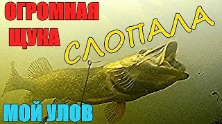 ШОК!!! Щука утянула мою камеру!!! Подводная съёмка.