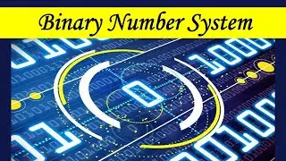 Binary Number System (Explained)