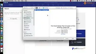 How to Convert Scanned PDF to RTF on Mac ?