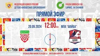 Кубок Сириуса U16. Сборная Республики Беларусь - ЦФО | 20.06.2024, 11:45 МСК