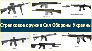 Личное стрелковое вооружение бойцов Сил Обороны Украины.