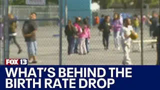 What's behind declining birth rates | FOX 13 Seattle