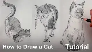 How to Draw a Cat (Tutorial)