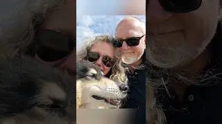 Rough Collies  at the Beach