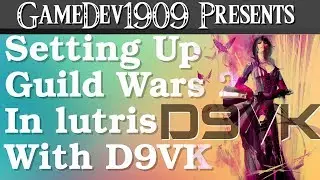 A Simple Guide To Settings Up Guild Wars 2 In lutris with D9VK