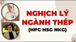 NGHỊCH LÝ NGÀNH THÉP (HPG HSG NKG)